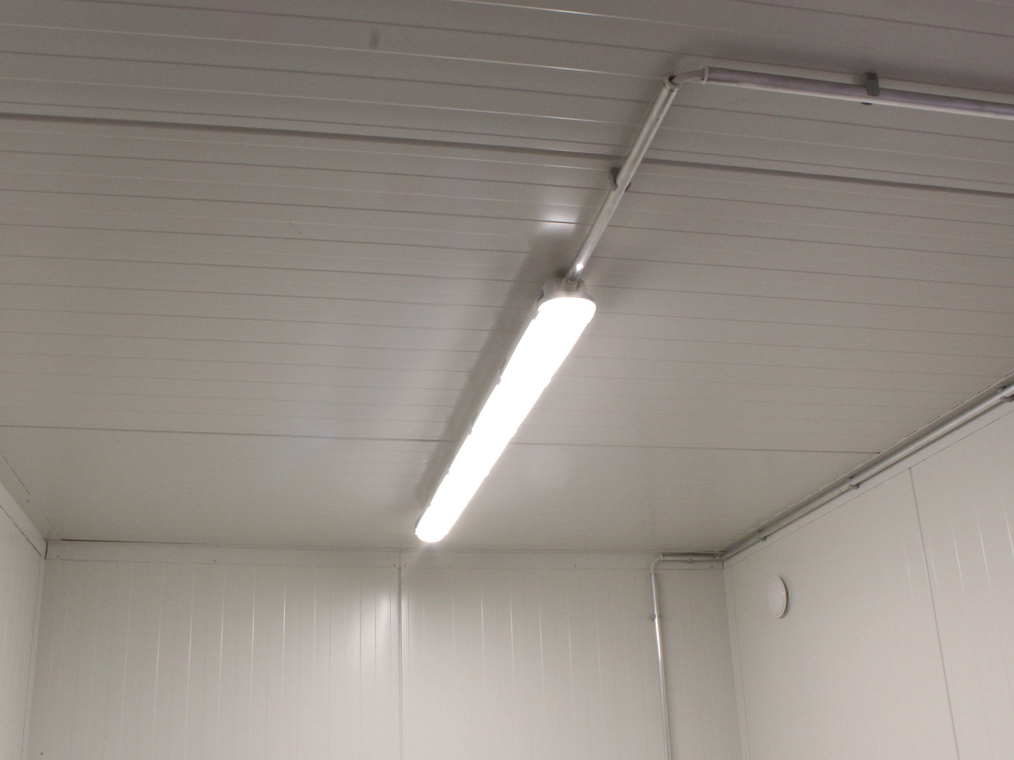 20 Ft′ Insulated Container – Premium Temperature-Controlled Storage &amp; Shipping Solution
